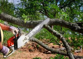 Mulching Services in Ebensburg, PA